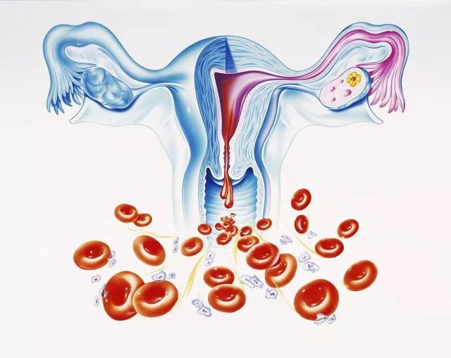 卵巢早衰多功能细胞激活疗法